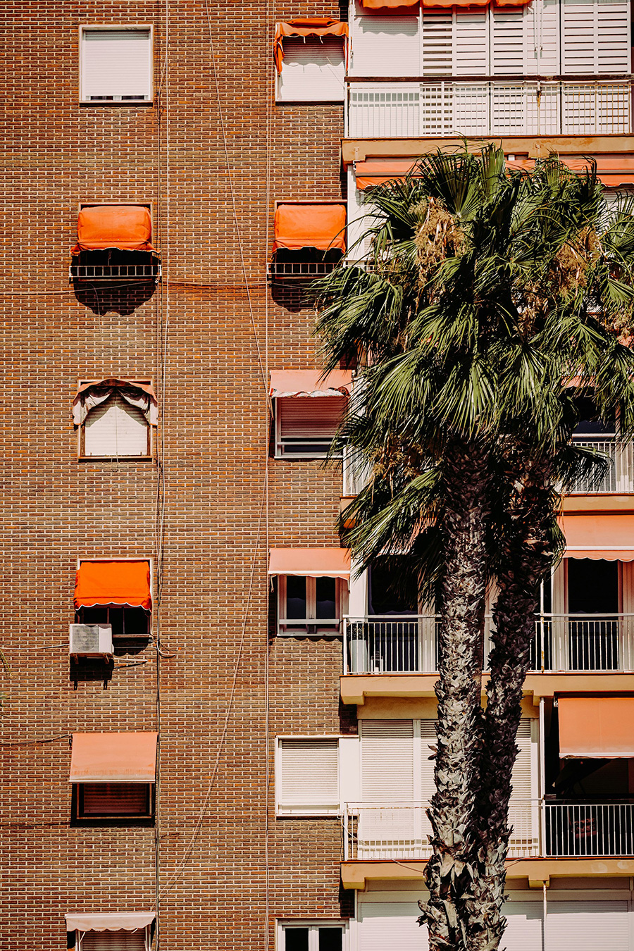 Fotografía a color de un edificio con una palmera delante